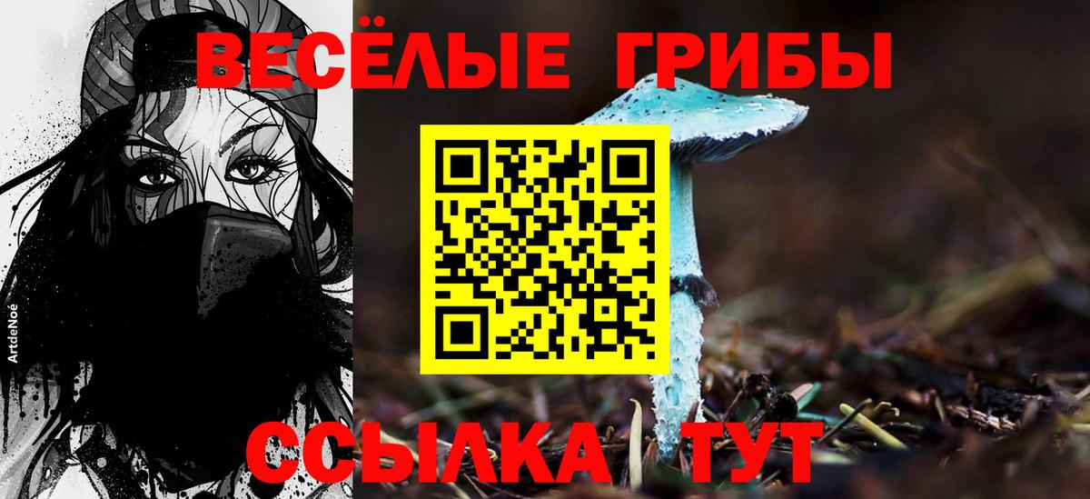 Псилоцибиновые грибы прущие грибы  Вход с VPN  Шелехов 